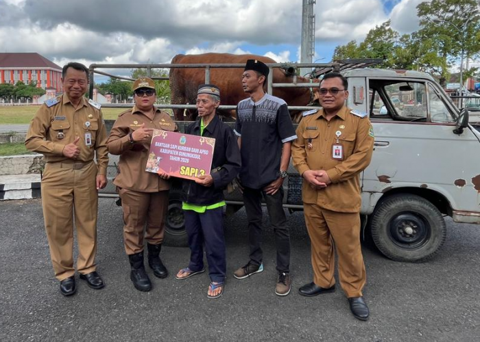 Gunungkidul Jadi Gudang Ternak DIY, 51 Hewan Kurban Resmi Disalurkan ke Wilayah Terpencil