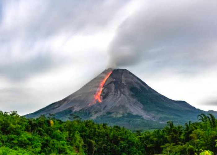 Masuk Level Siaga III, Gunung Merapi Terus Keluarkan Guguran Lava ke Arah Barat Daya