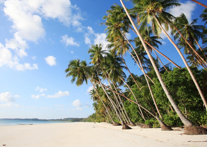 Destinasi Indah Kepulauan Kei: Aktivitas Menarik, Fasilitas dan Rute Perjalanan Lengkap