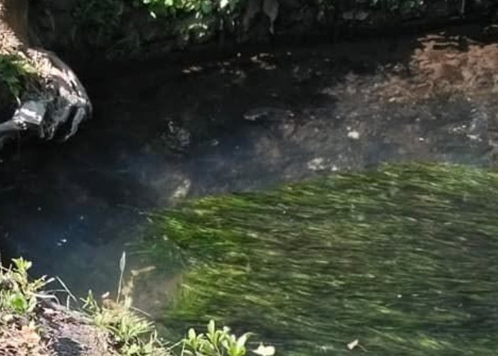 Kronologi Bocah TK Tenggelam di Sungai Winongo Kecil Bantul Usai Salat Zuhur