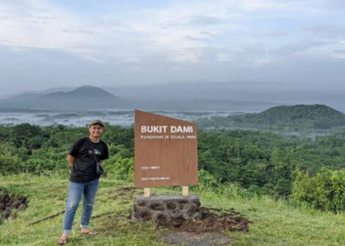 Wisata Terbaru 2024 Bukit Dami Probolinggo: Keindahan Alam Dibalut Landscape Kota Estetik