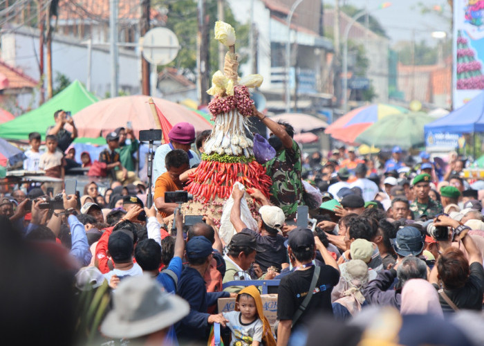 Masyarakat Brebes Antusias Berebut Gunungan Bawang Merah, Wujud Syukur Hasil Panen 8 Meter Catatkan Rekor ORI