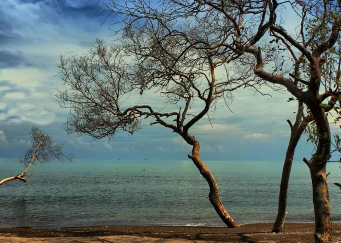 6 Daftar Wisata Seru dengan Panorama Asri di Subang, Solusi Liburan Terbaik di Akhir Pekan