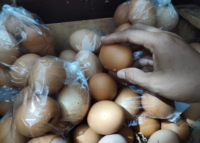 Harga Telur di Pedagang Eceran Melonjak Capai Rp28.500 per Kg