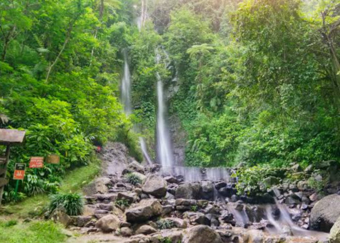 Wisata Terbaru 2024 Curug Cilember Bogor, Tawarkan Jalur Hiking Menantang, Cek Disini