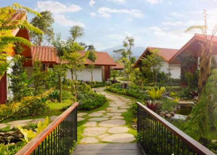 Tempat Nongkrong Anak Muda, 10 Wisata Terbaru 2024 di Bedugul Bali Sajikan Spot Menawan Cek Disini