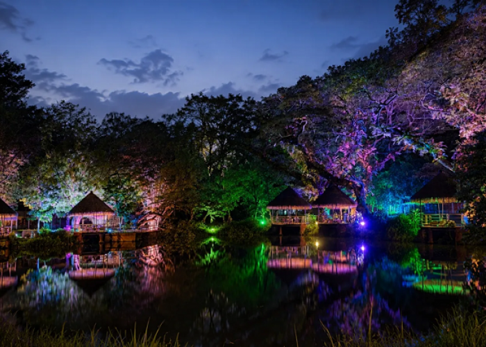 Safari Vibes Solo Safari, Sensasi Wisata Malam Magis yang Wajib Kunjungi di Tahun 2026