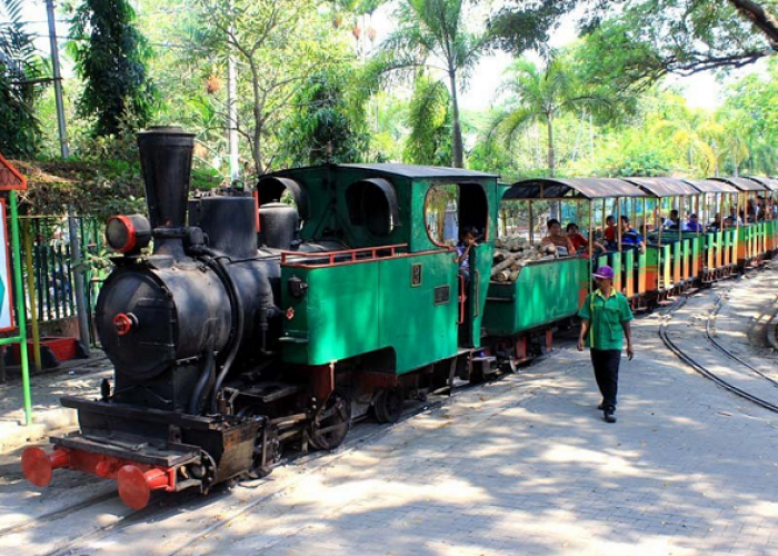 Pilihan Destinasi Wisata Kids Friendly di Karanganyar jadi Surga Liburan dengan Wahana Edukatif