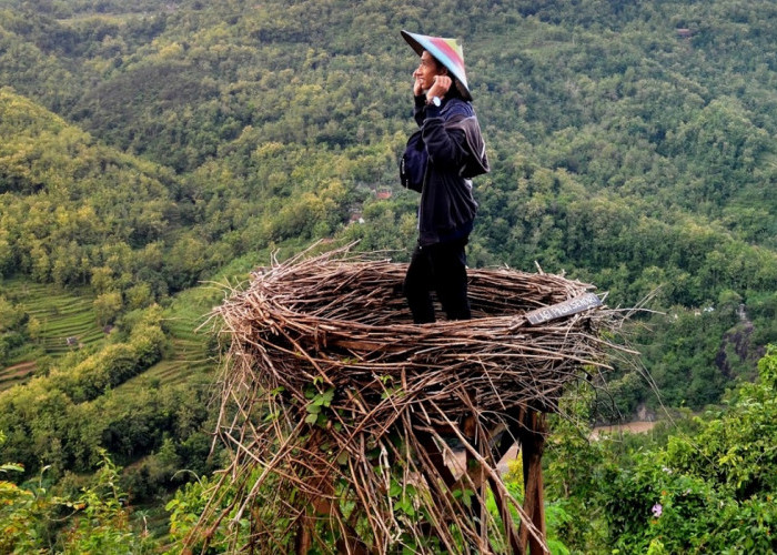Spot Indah Nikmati Matahari Terbit, Simak Aktivitas Menarik Wisata Bukit Mojo Yogyakarta