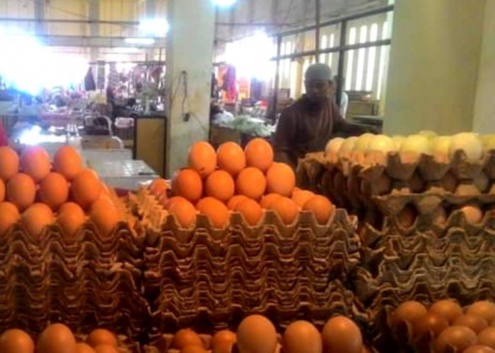 Harga Telur di Pasar Tradisional Merangkak Naik, Omzet Pedagang Turun