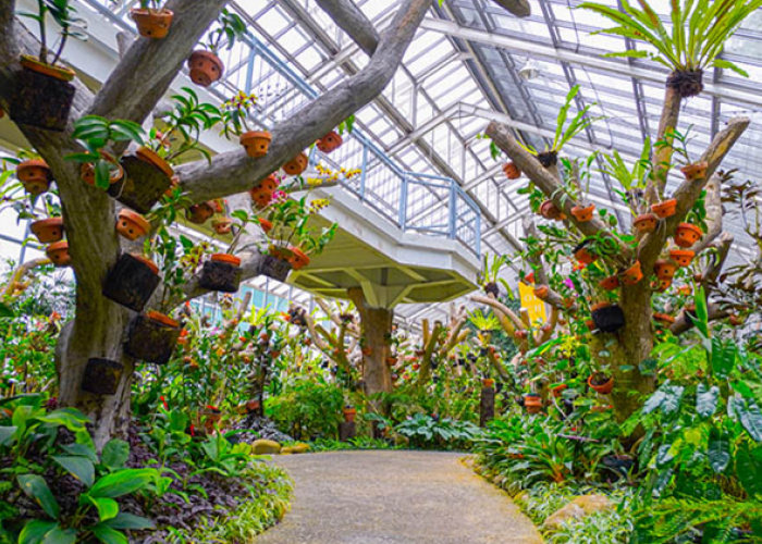 Rekomendasi Healing Lewat Destinasi Wisata Terindah Penyejuk Pikiran di Bogor