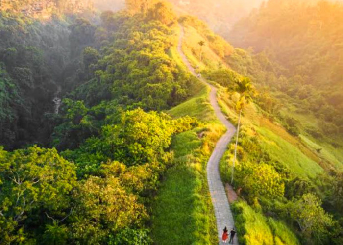 Jalur Trekking Favorit Wisatawan? Inilah Daya Tarik Wisata Terbaru 2024 Campuhan Ridge Walk Ubud Bali