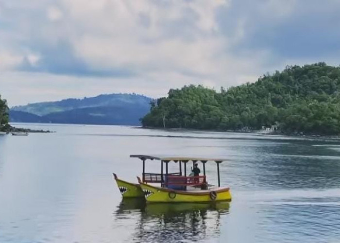7 Rekomedasi Wisata Terbaru 2024 Pantai di Jogja? Seperti di Raja Ampat, Wajib Dikunjungi Viral di Instagram! 
