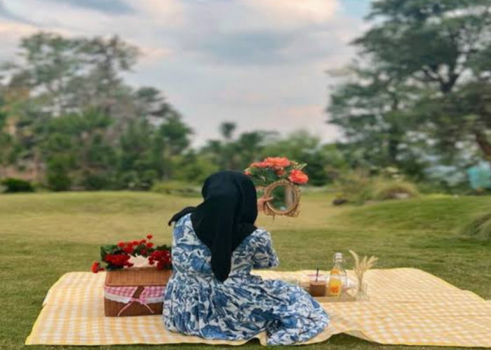 Pesta Barbeque Alam Terbuka, Coba Sensasi Wisata Terbaru 2024 Pinusia Park Semarang