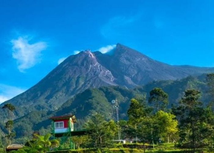 Delapan Tahun Mati Suri, Warga Lereng Merapi Berharap Buka Kembali Jalur Pendakian Secara Terbatas