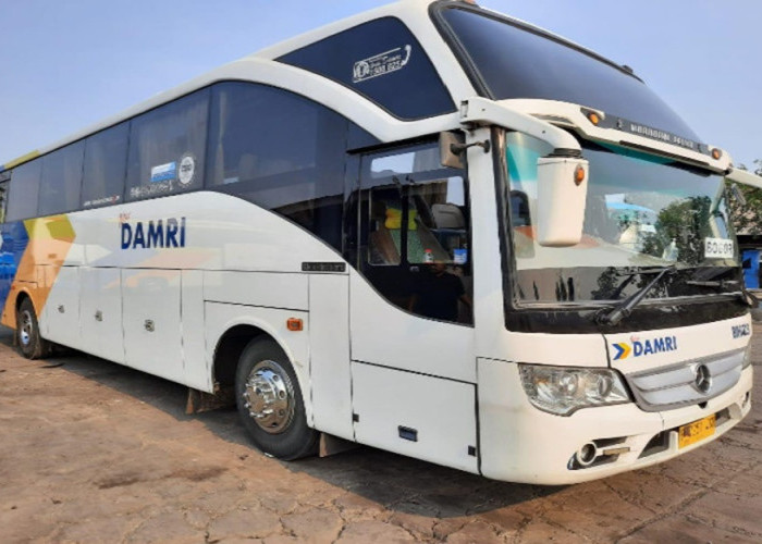 Tarif dan Lokasi Keberangkatan Bus Damri di Jogja, Cek Lengkapnya Jika Ingin Bepergian