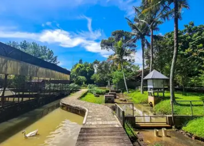 Menjelajahi Kuntum Farmfield Bogor Sebagai Destinasi Agrowisata Edukatif Favorit Keluarga Tahun 2026