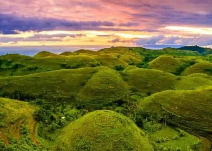 Menjelajahi Wisata Terbaru 2024 Bukit Teletubbies Nusa Penida, Sensasi Berpetualang di Negeri Awan