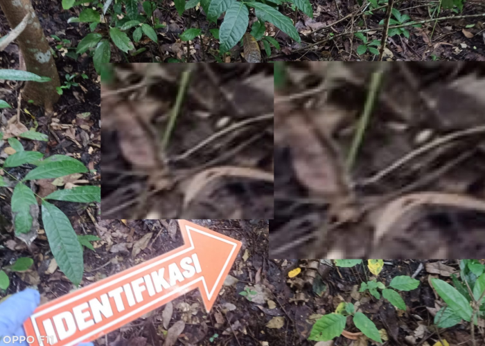 Kerangka Manusia Ditemukan di Gunung Tugel Kulon Progo, Diduga Warga yang Hilang Sejak Desember