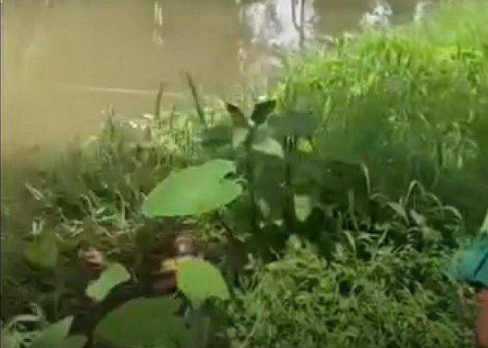 Lagi, Orang Tertemper Kereta di Jalur Brambanan - Maguwo Sleman