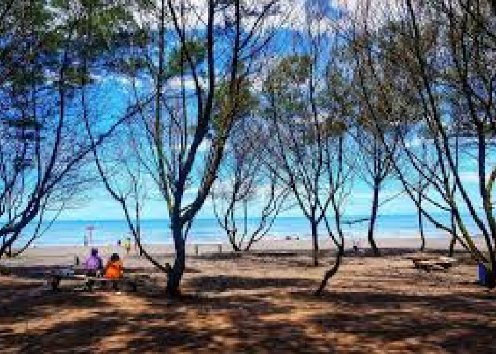 Menjelajahi Rekomendasi Tempat Liburan Akhir Tahun, Keindahan Tersembunyi Pantai Cangkring di Bantul