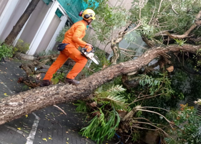 Cuaca Yogyakarta Tak Menentu, Masyarakat Diminta Waspada Banjir dan Angin Kencang