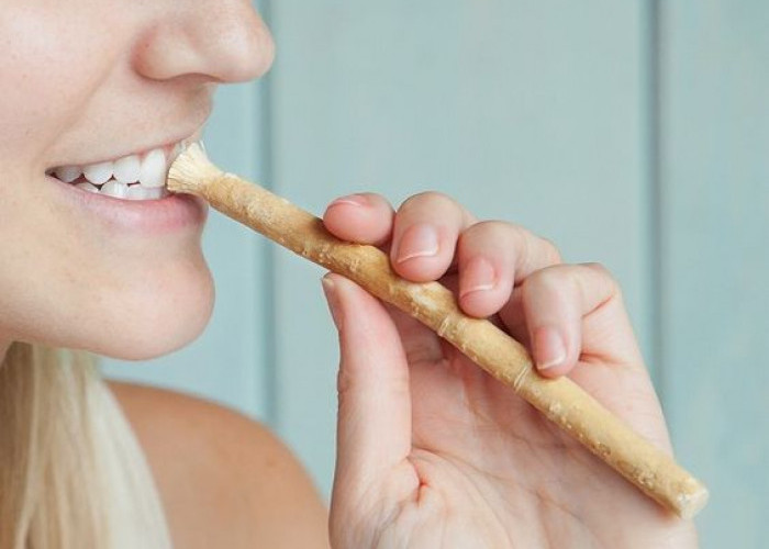 10 Manfaat Kayu Siwak Untuk Kesehatan Gigi dan Tubuh Kita