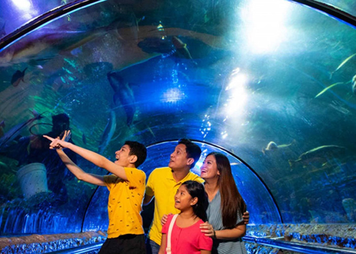 Daftar Tempat Wisata Ramah Anak di Jabodetabek untuk Liburan Keluarga, Cek Lokasinya Disini