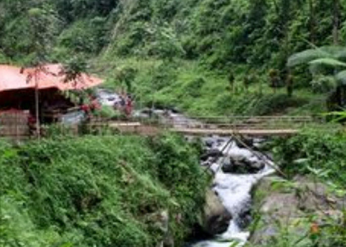 Surga di Kaki Gunung Ijen dengan Keindahan Hijau dan Air Terjun Eksotis di Perkebunan Kalibendo