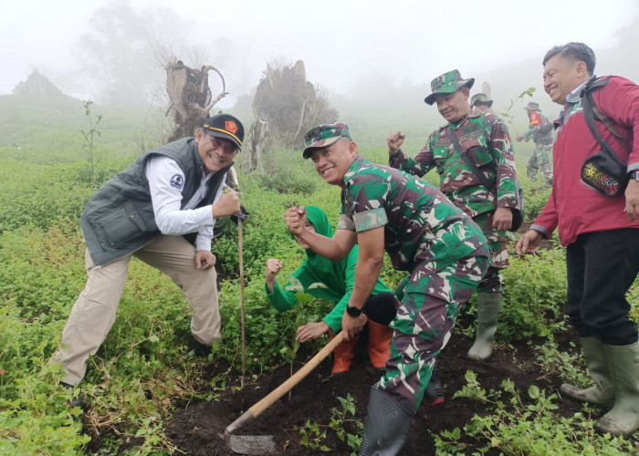 Cegah Bencana, Tim Gabungan Tanam 16 Ribu Pohon di Hutan Gunung Slamet Kabupaten Tegal