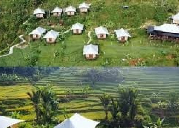 10 Resort Mewah Tawarkan Pengalaman Wisata Terbaru 2024 Glamping Menikmati Sunrise Tak Terlupakan di Indonesia