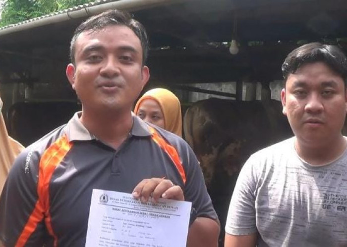 Belajar Ternak Dari Ayah Hingga Mengembangkan Usaha Peternakan