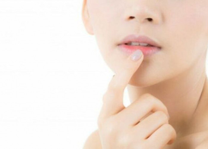 Catat Tips Cara Mencerahkan Bibir yang Hitam Dengan Bahan Alami