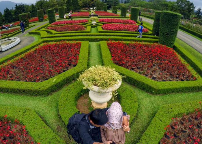 Keindahan Alam Cianjur, Ini Promo dan Daya Tarik Taman Bunga Nusantara 2026