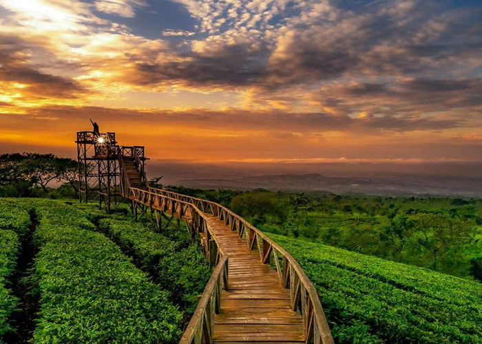 Jadi Incaran Pelancong Luar Daerah, Simak 5 Pilihan Wisata Seru dan Menarik di Ungaran Tahun 2025