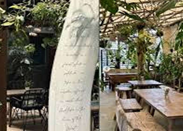 Ramah di Kantong! Inilah Cafe Viral Sukoharjo 2025, Kekinian dan Estetik Bikin Kamu Betah Nongkrong