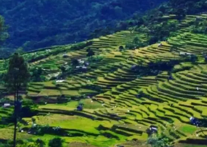 Update Akses Jalur Citalahab dan Rute Alternatif Terbaru di Desa Wisata Malasari, Cek Info Selengkapnya Disini