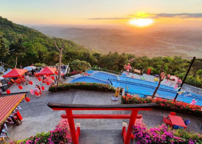 Wisata Little Tokyo Yogyakarta: Daya Tarik, Tiket Masuk, Fasilitas hingga Rute Perjalanan