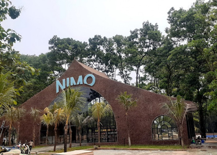Nimo Water Forest: Destinasi Wisata Terbaru 2024 Purwakarta Tawarkan Sensasi Pantai di Tengah Hutan