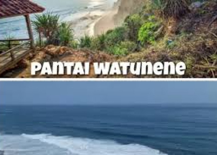 Wisata Awal Tahun Pantai Watunene Gunungkidul Indah dan Masih Sepi, Warna-Warni Terumbu Karang di Pantai