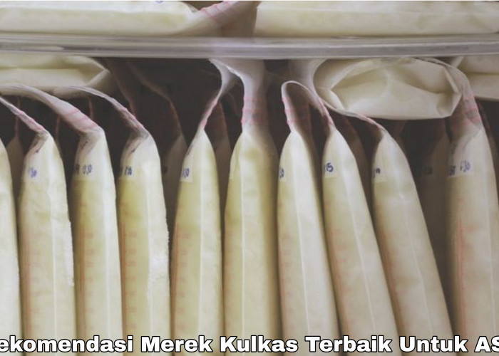 Rekomendasi Merek Kulkas Terbaik Murah dan Bekualitas Untuk Menyimpan ASI