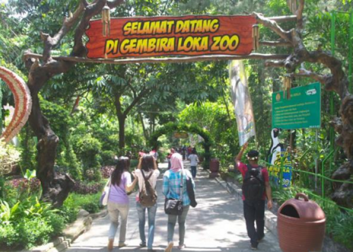 Informasi Lengkap Pesona Gembira Loka, Destinasi Wisata Edukasi Legendaris di Yogyakarta