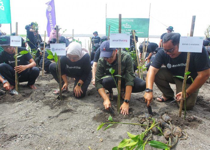 Frekuensi Abrasi Meningkat, Amartha dan Relawan Gen Z Hijaukan Pantai Baros