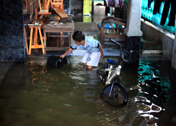 187 Rumah Warga Jalan Rambutan Kota Tegal Masih Terendam Banjir