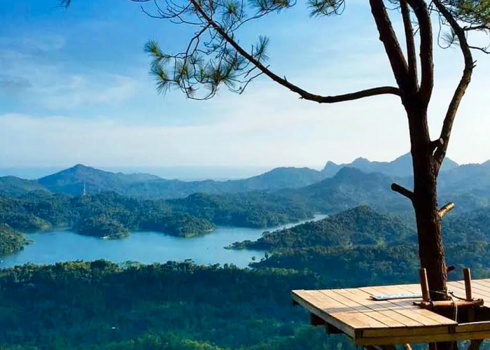 Nuansa Perbukitan Menawan, Simak Aktivitas Menarik Wisata Kalibiru Jogja untuk Liburan Akhir Pekanmu