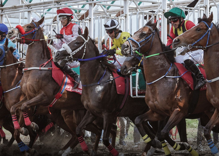 Sri Sultan bersama Ribuan Penonton Semangati Kejurnas Pacuan Kuda 2024