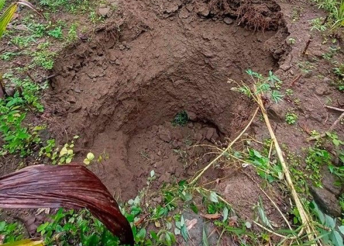 Sinkhole Diameter 5 Meter Menganga di Popohan Kalibawang, Warga Khawatir Permukiman Terancam