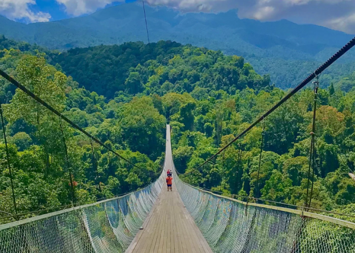 Wisata Terbaru 2026 Paling Wajib Dikunjungi, Yuk Eksplorasi Keajaiban Alam Sukabumi