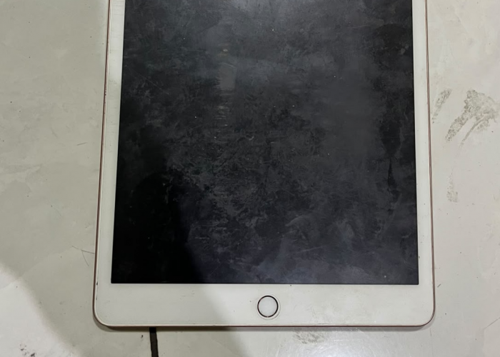 Mahasiswi Kehilangan Tas Berisi iPad dan iPhone di Dasbor Motor, Kerugian Rp25 Juta