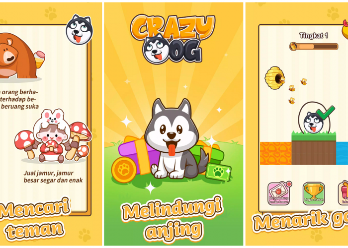 Selesaikan Misi Harian di Crazy Dog Penghasil Uang dan Klaim Rp100 Ribu Setiap Harinya, Intip Disini